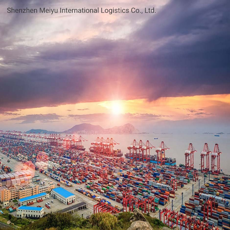 Door to Door Sea Shipping From China to USA Which Includes Customs Clearance and Taxes