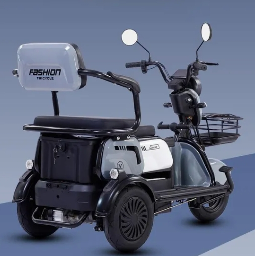 Wanhaonew Electric Tricycle Car - 3 Wheel Electric Motorcycle for Adults &amp; Passenger Commercial Use