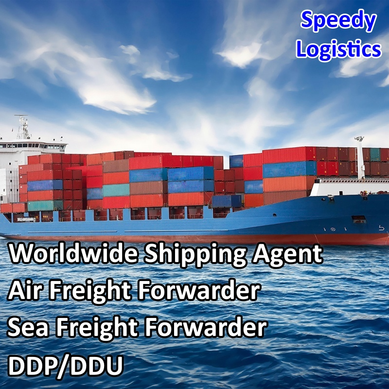 DDP Shipping Agent to Australia, Germany, UK, USA, France Air Sea Freight Forwarder Logistics Company Sea Shipping Service Air Shipping Agent