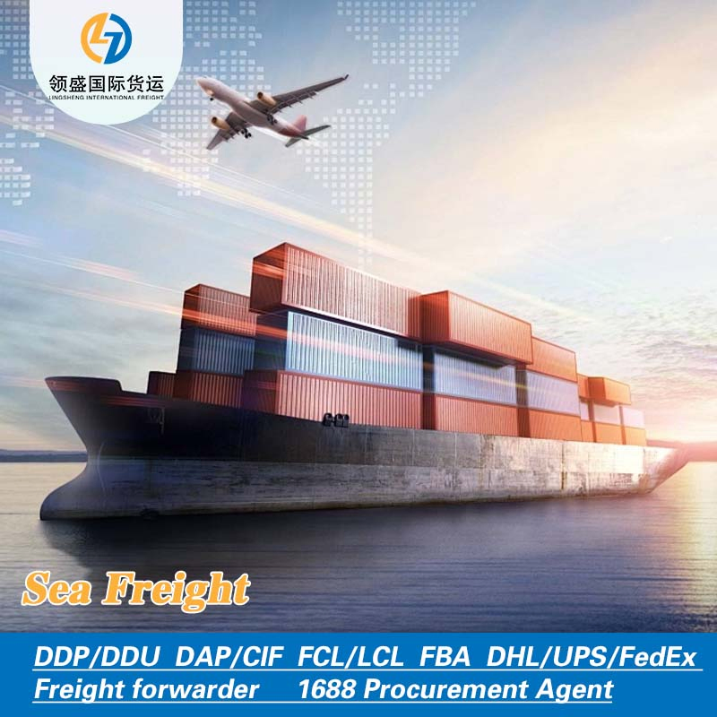 Double Clearance Ocean Shipping to Mexico for Sme Regular Cargo Shipments