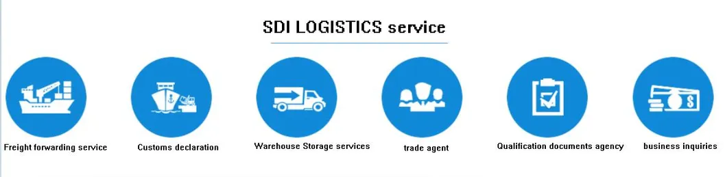 Customs Declaration Services
