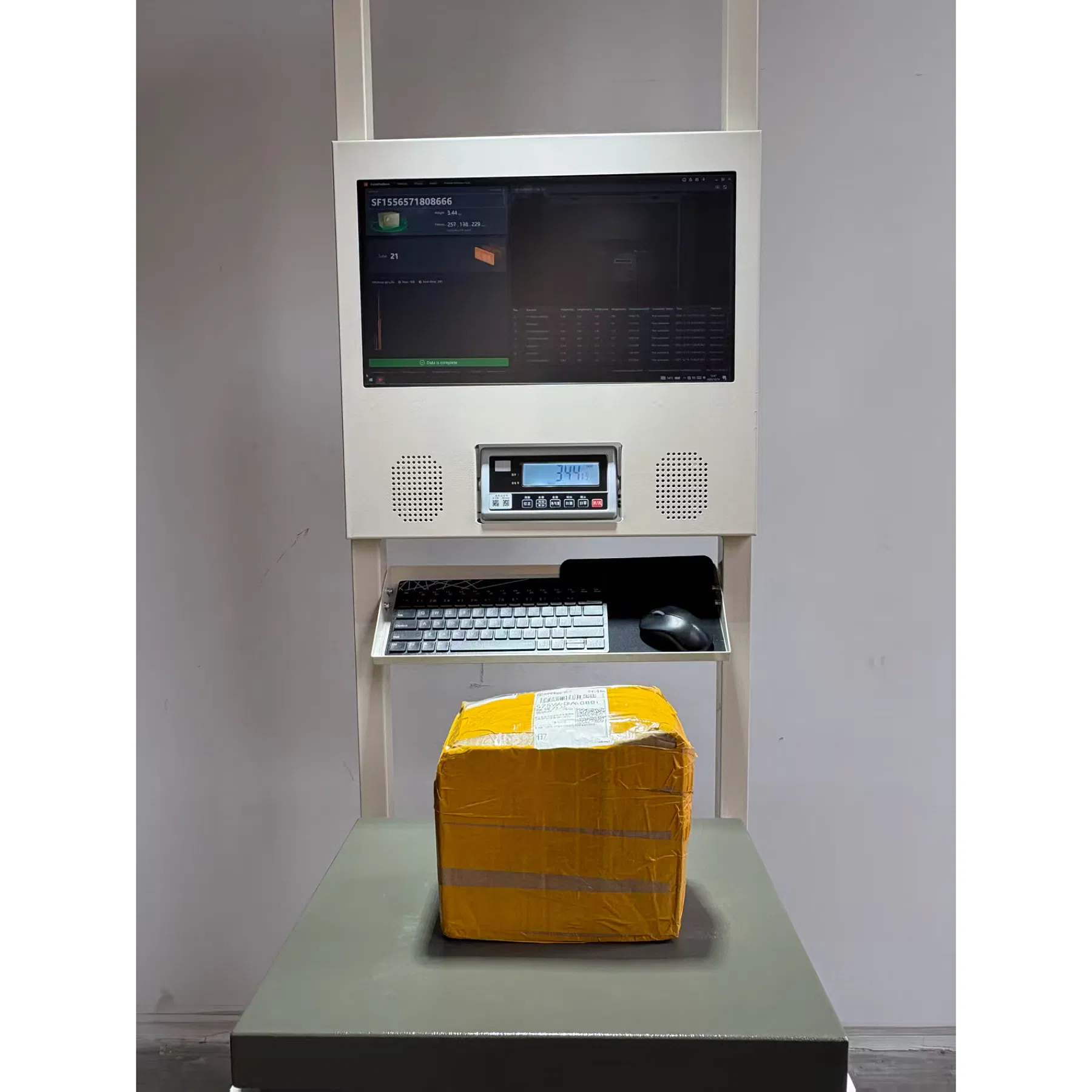 Truelisort Automated Parcel Data Capture Solution for Logistics Dws Scanning Weighing System