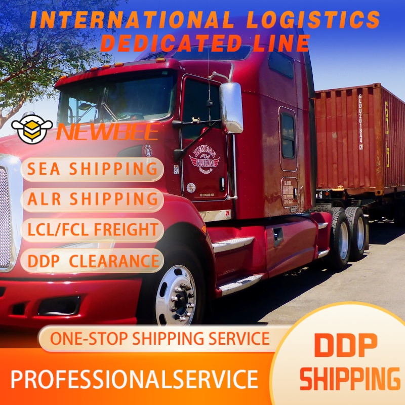 Consolidation Logistics Fast Sea Shipping Delivery Service From Guangzhou/Shanghai/Shenzhen/Ningbo to Bharain