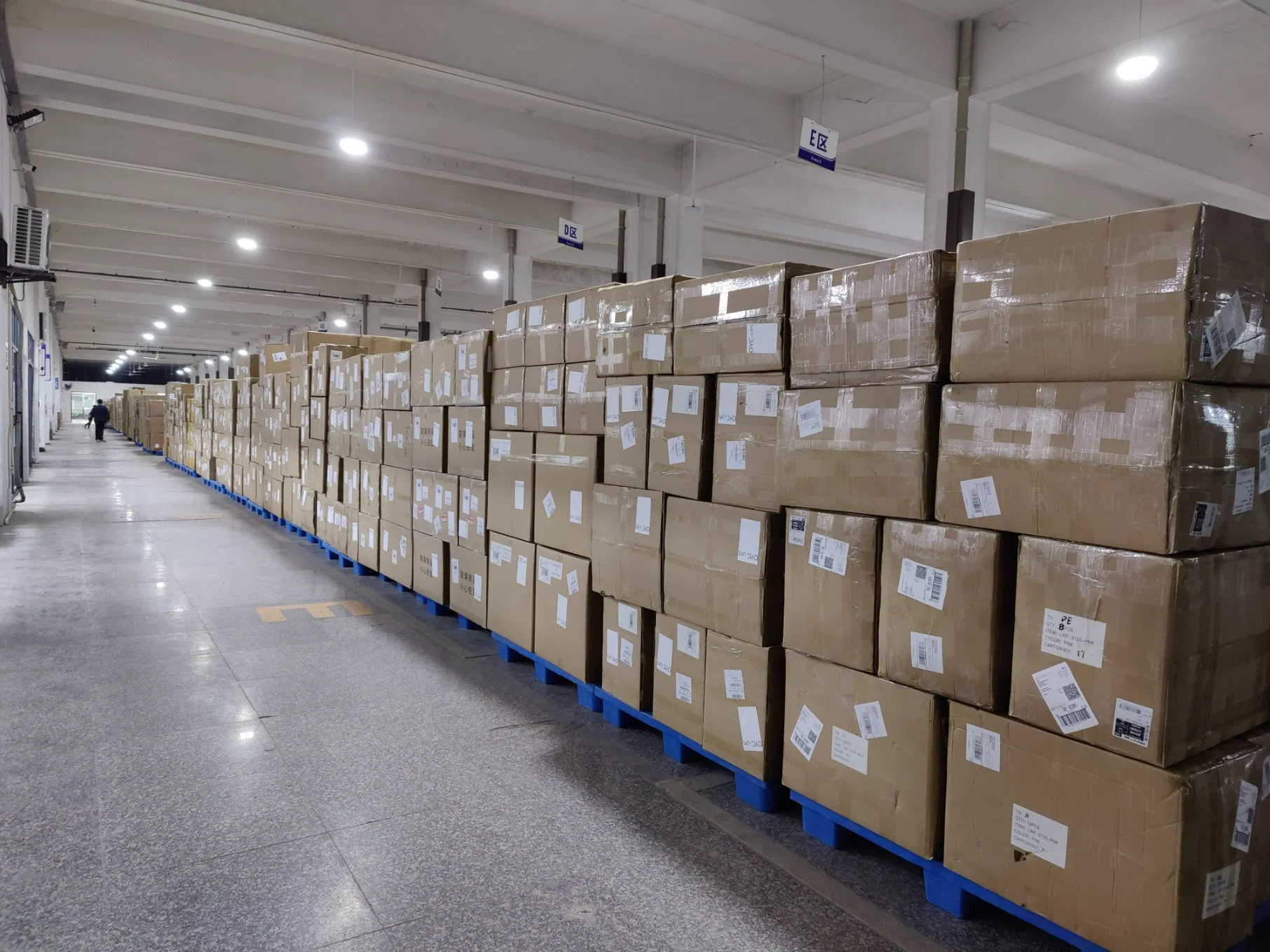 Railway Transportation of Goods