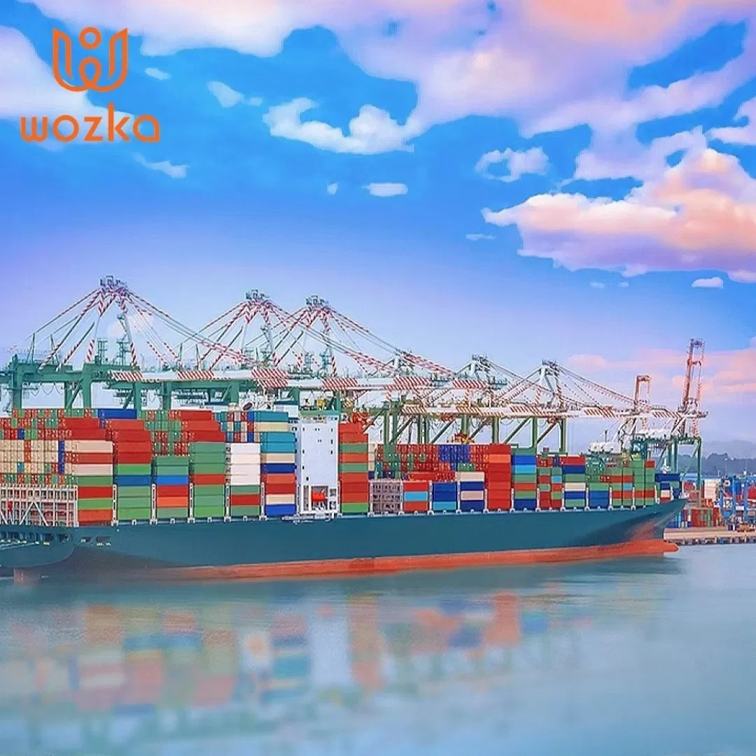 Reliable Sea Freight Forwarding to Austria Europe
