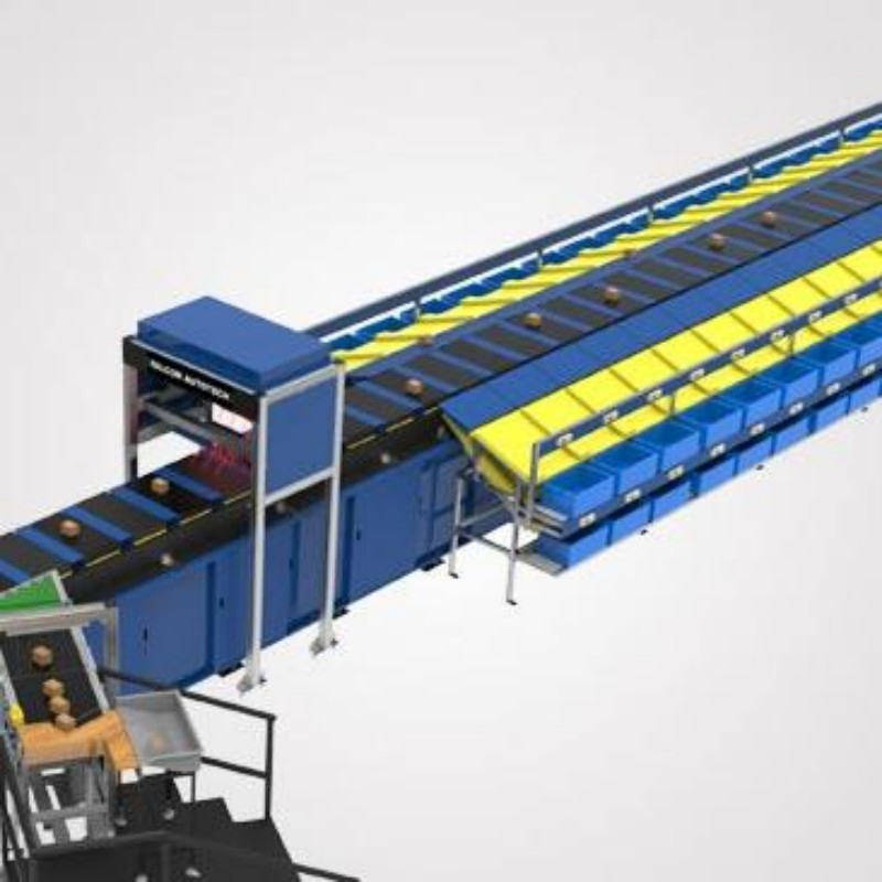 Truelisort Automated Logistics Measurement Solution Reducing Manual Inspection Dws System