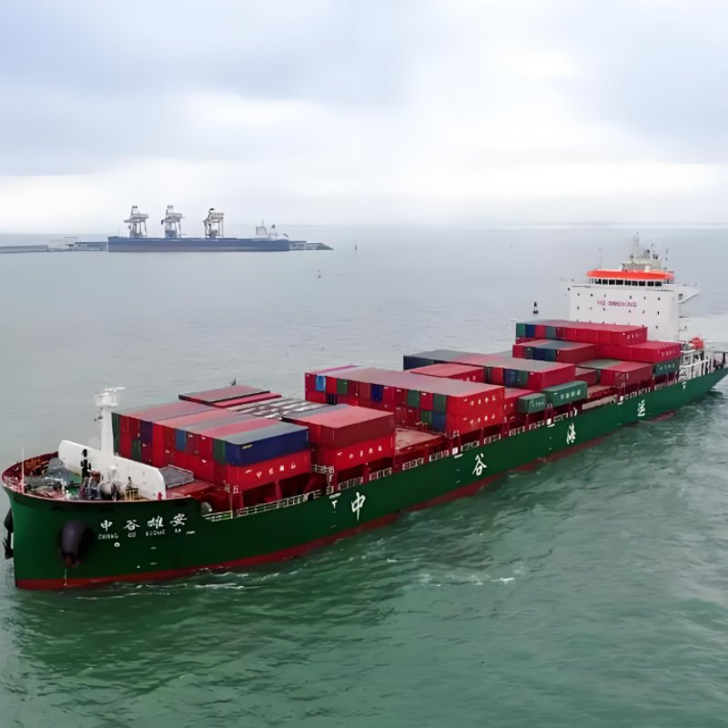 Clothes Sea Shipping Freight Forwarder to Brazil, Germany with Professional Service