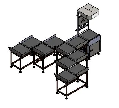 Scan Dimension Weight DWS