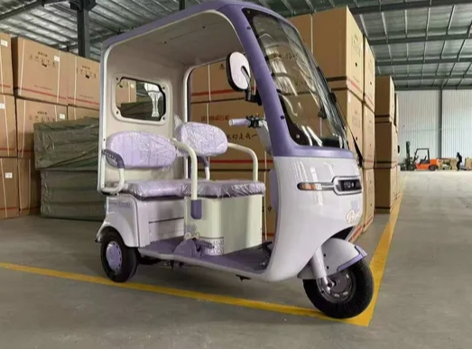 Wanhao Durable 60V 1000W Electric Tricycle with Spacious Cargo Area