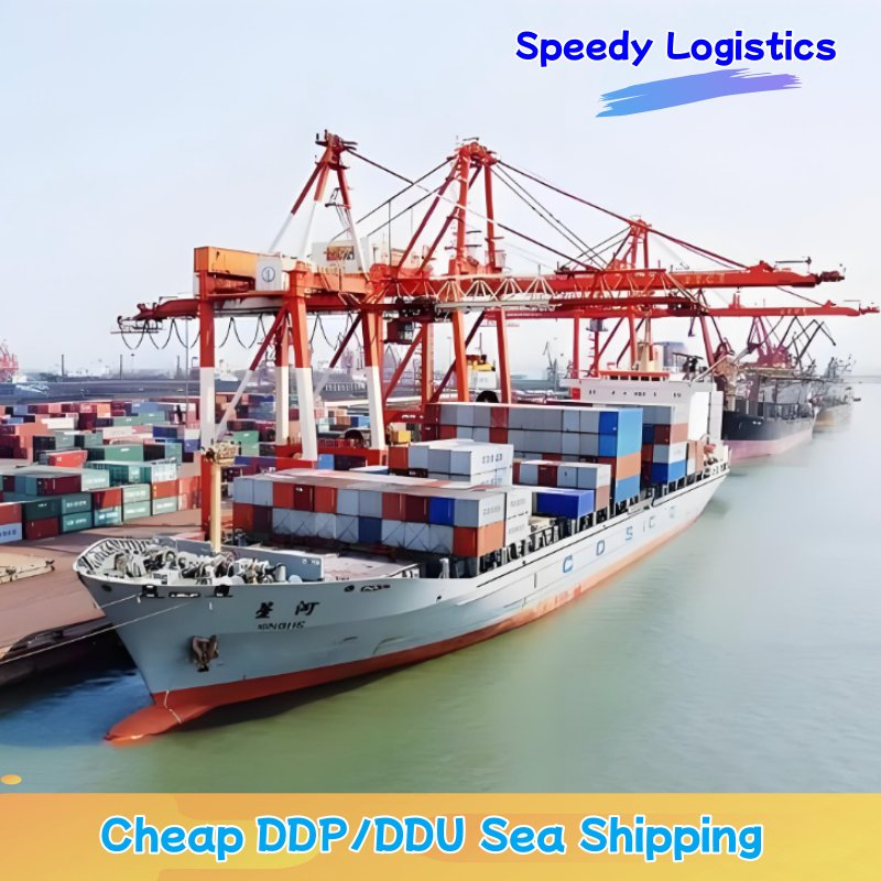 Sea Cargo Shipping Agent Freight Forwarder Shipping to India, USA, UK Worldwide Shipping Service