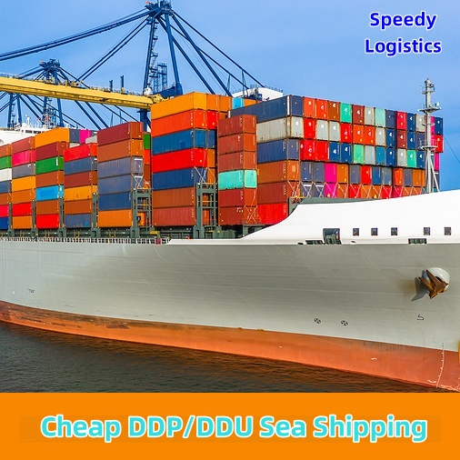 Door to Door Shipping From China to Germany, USA by Sea DDP Service