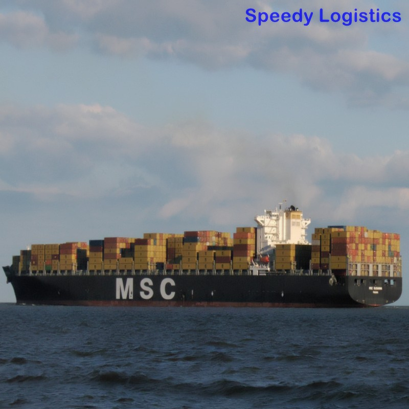 Cheap Freight DDP Service to USA, India, Nigeria, Pakistan, Brazil Sea Shipping Agent
