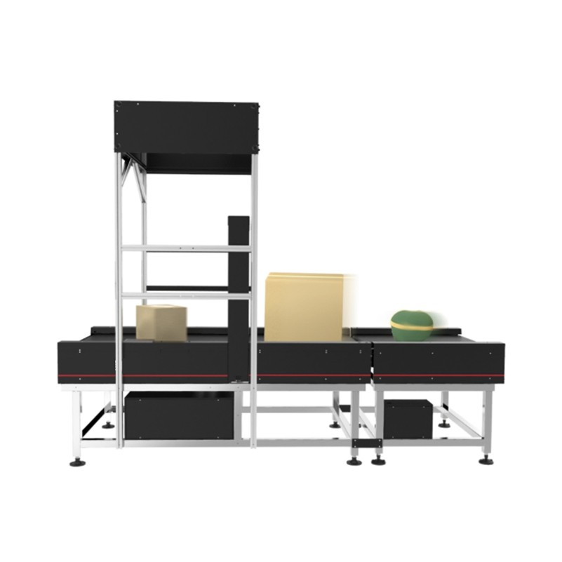 Logistic Express Warehouse Management Dws System for Packages Parcels Boxes Cartons Mails