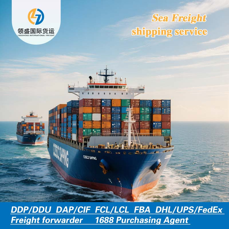 China to Us Ocean Freight Forwarding, DDP Logistics Transportation, Competitive Freight Rates