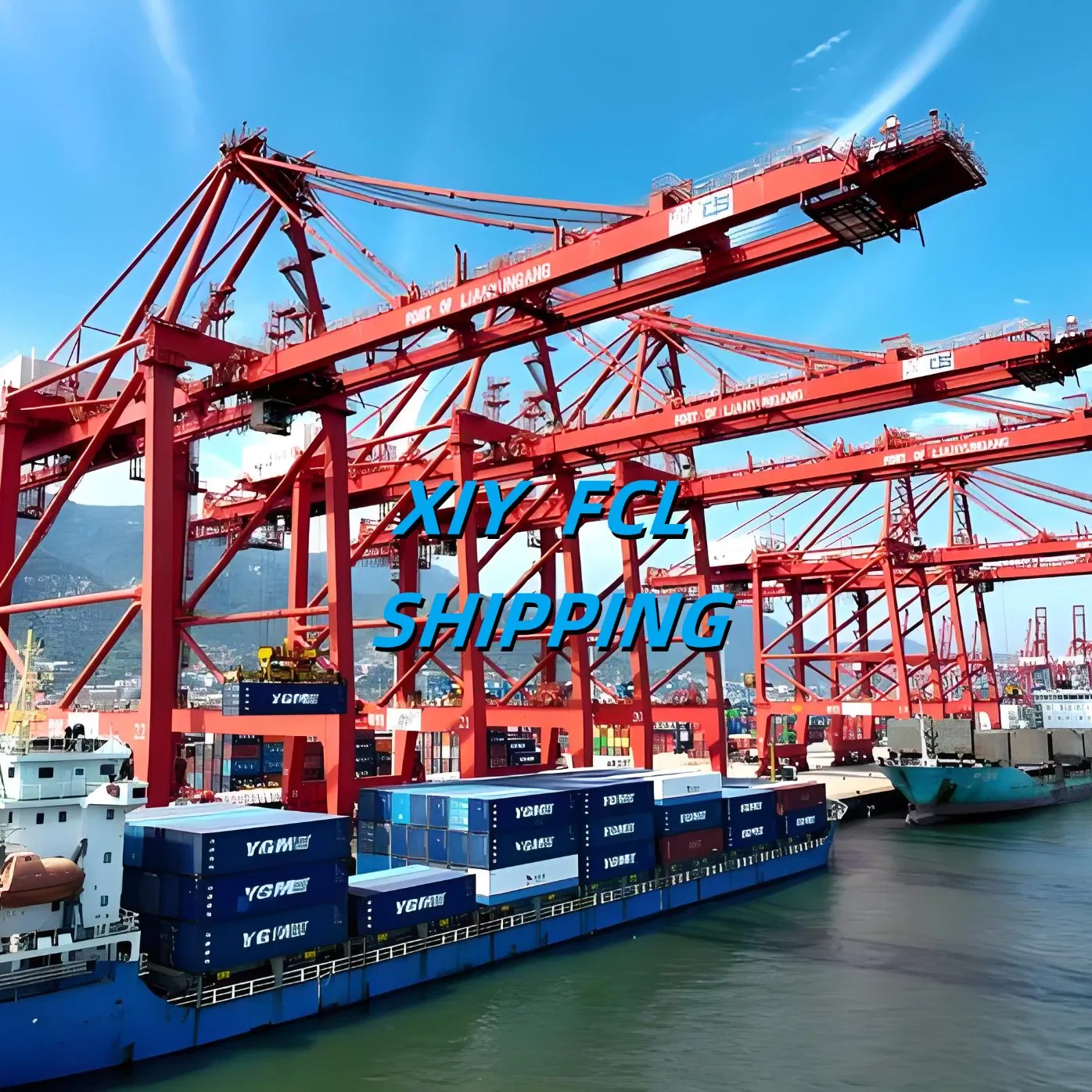 Professional Freight Forwarding Company in The Qingdao to South America USA