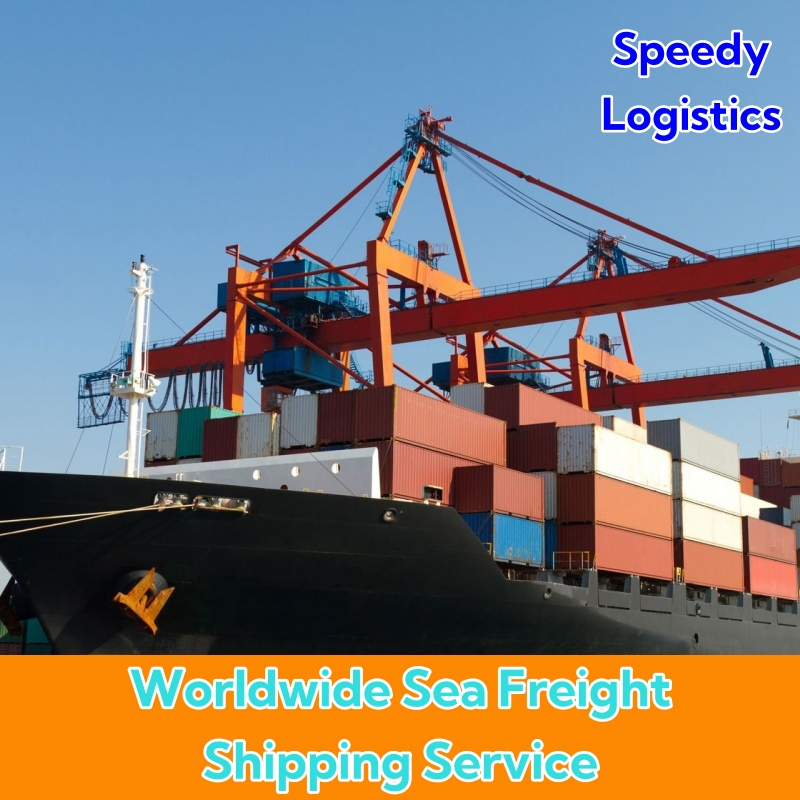 Door to Door Shipping From China to Germany, USA by Sea DDP Service