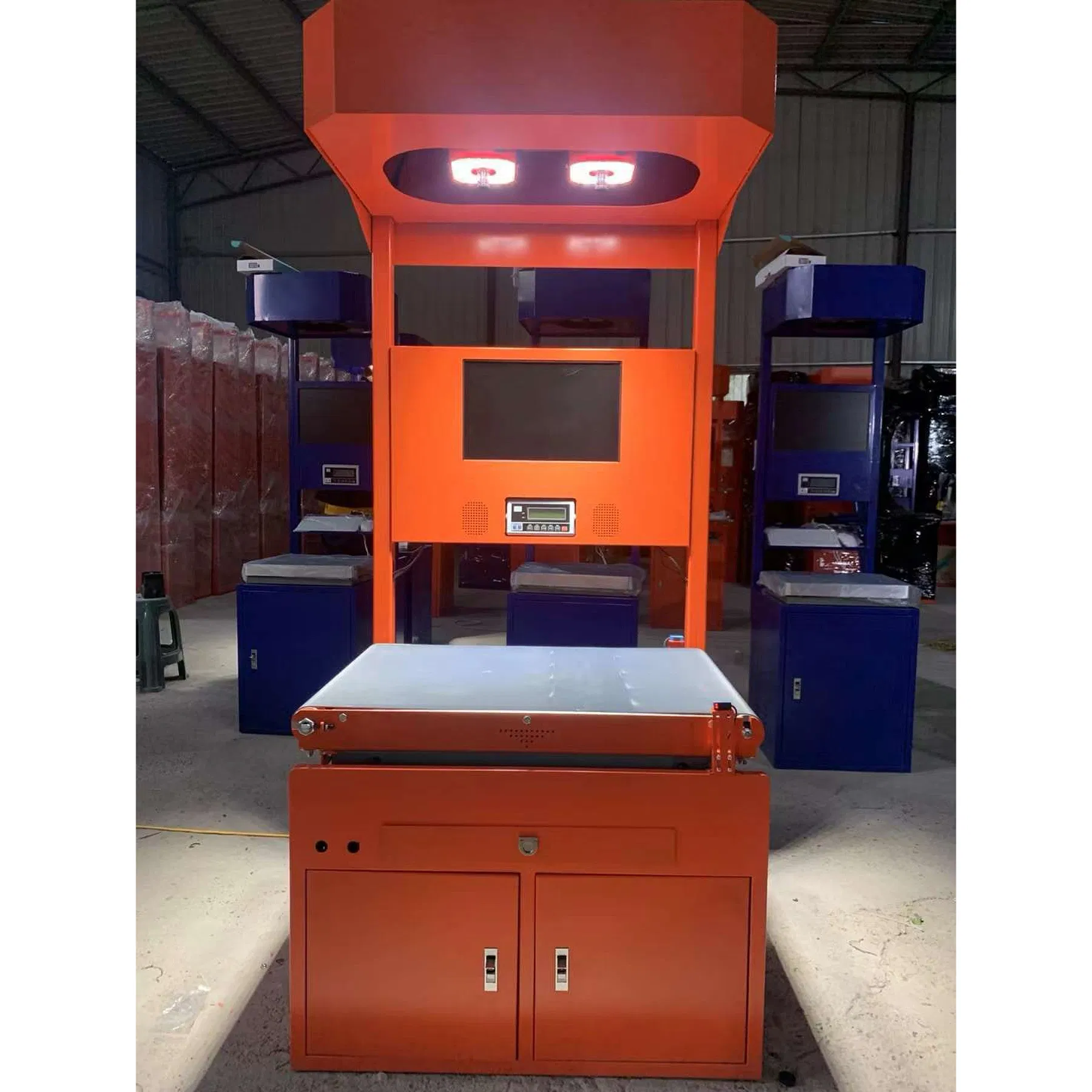 Truelisort Reliable Parcel Data Acquisition System Supporting Dws Scanning Weighing System