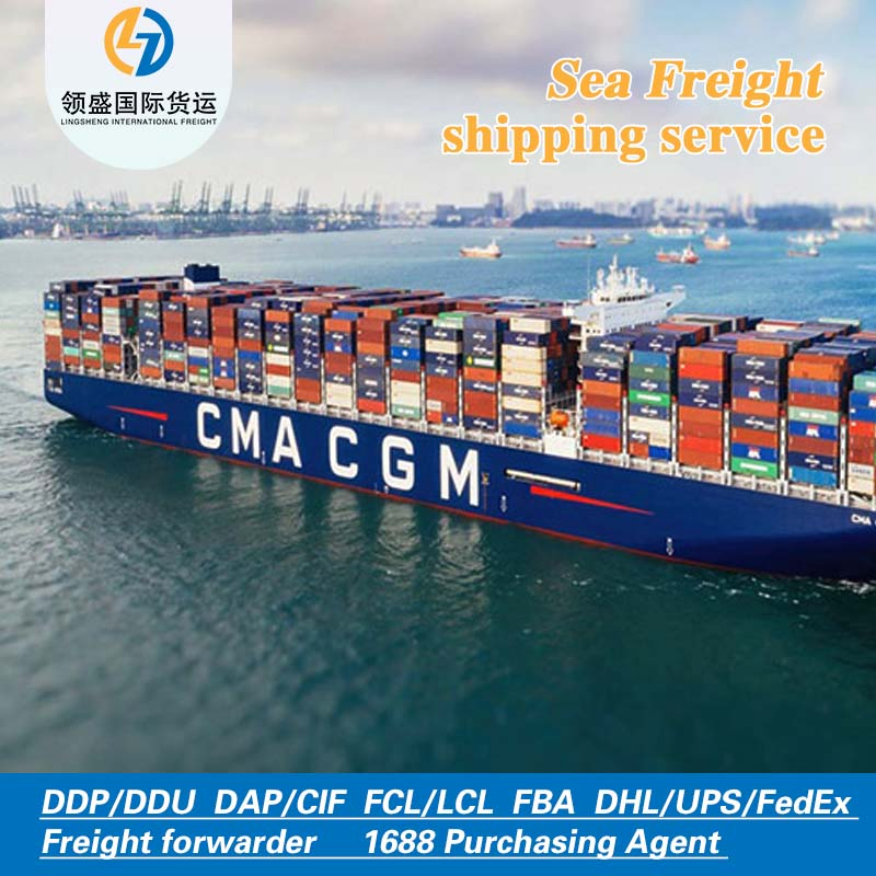 China to Australia Sea Freight Forwarding: DDP Logistics Transportation - Competitive Freight Rates