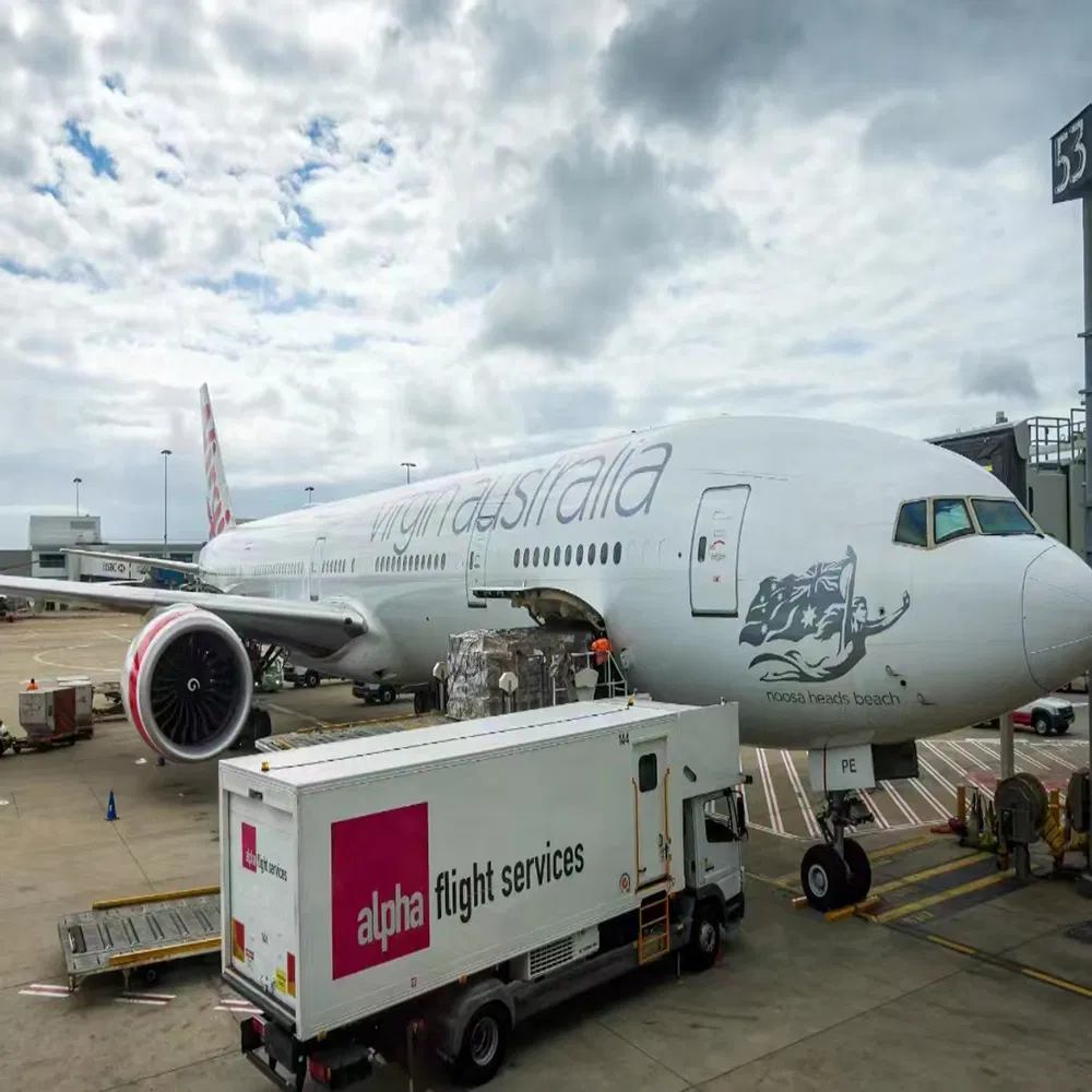 Support Sensitive and Dangerous Cargo Shipping Company From China to State of Israel, Palestine, Republic of Lebanon