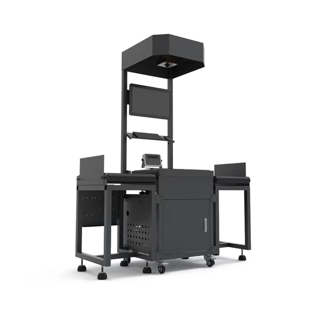 Scan Dimension Weight Dws Belt Conveyor Line Express Logistic System