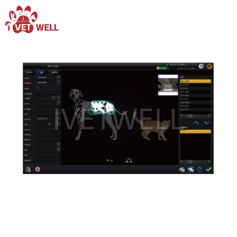 Portable Animal Radiography System with Digital X-ray Technology