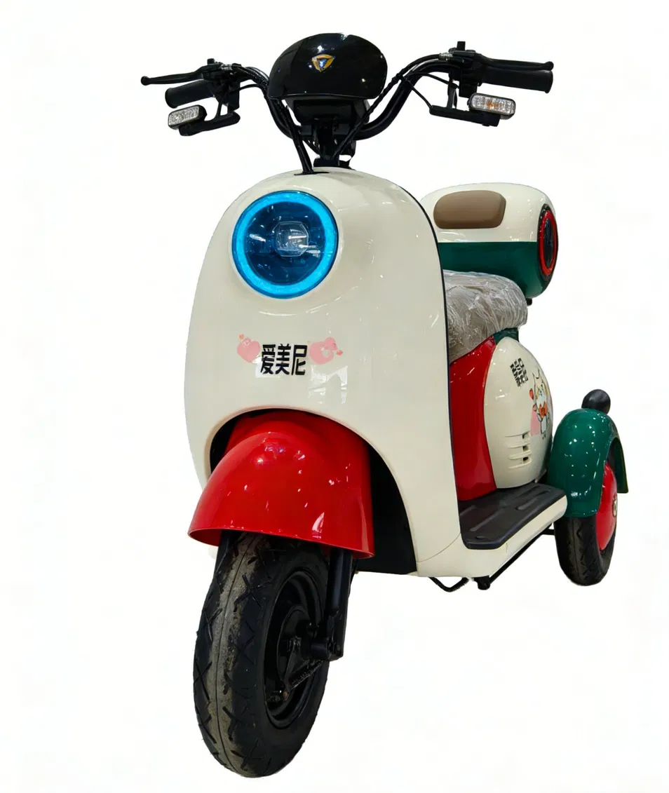 Electric Tricycle Detail