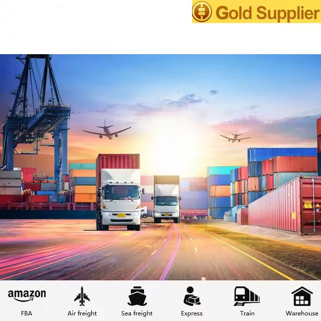 Professional Freight Forwarder DDP Sea Air Shipping Agent Door to Door China to Europe Germany France Italy UK