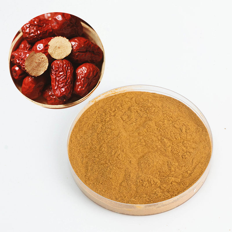 Runqian 10: 1 Jujube Seed Extract 10%-30% Polysaccharide Food Grade