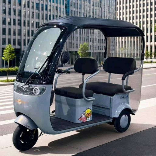 Wanhao Durable 60V 1000W Electric Tricycle with Spacious Cargo Area