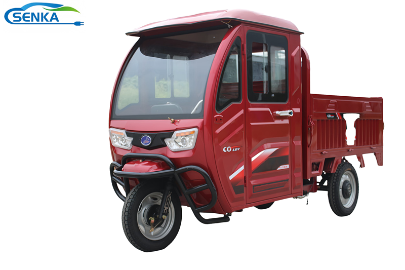 Senka Good Price Electric Cargo Tricycle for Delivery Service