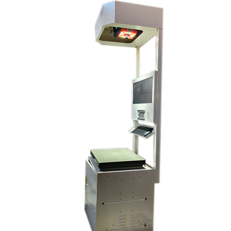 Truelisort High Accuracy Parcel Data Capture Solution for Logistics Dws System