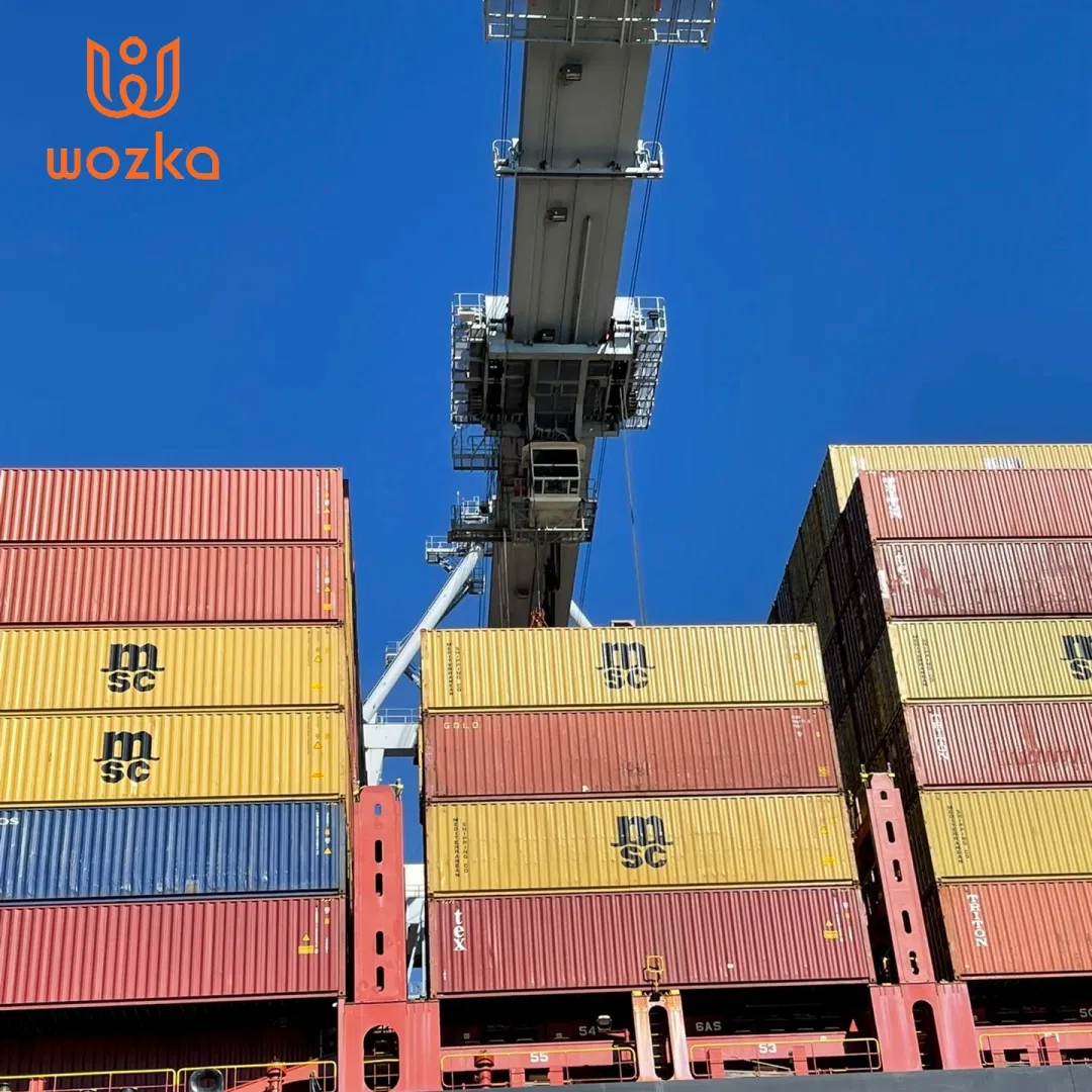 Reliable Sea Freight Forwarding to Austria Europe