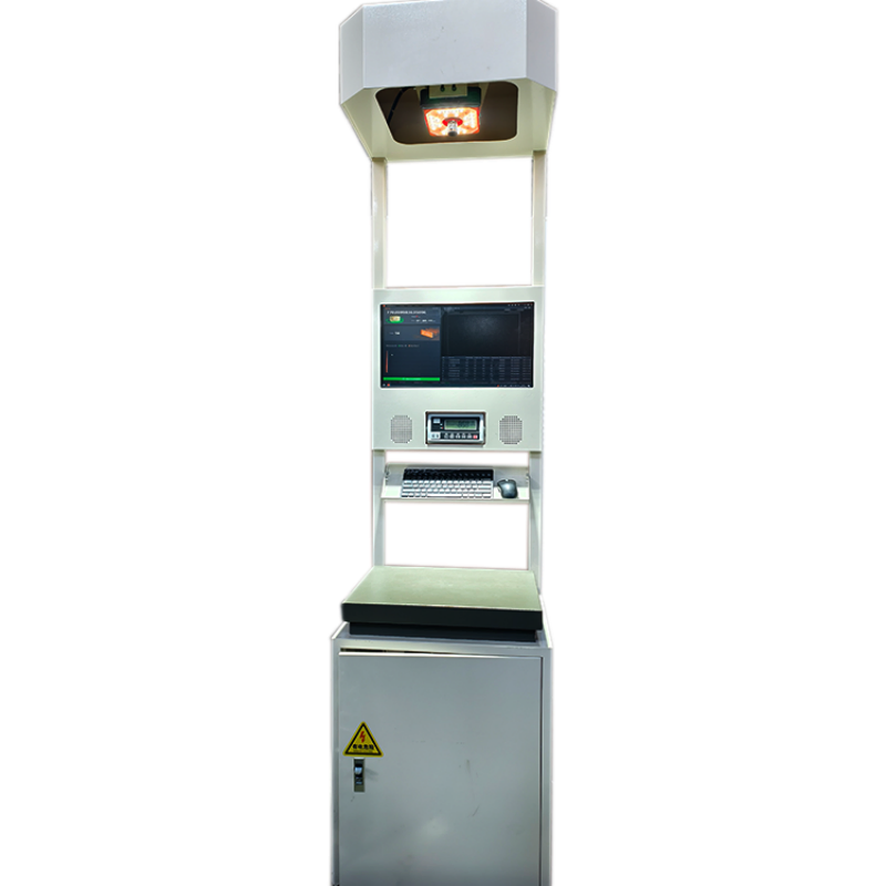 Truelisort Advanced Parcel Data Processing Solution for Warehouse Automation Dws System