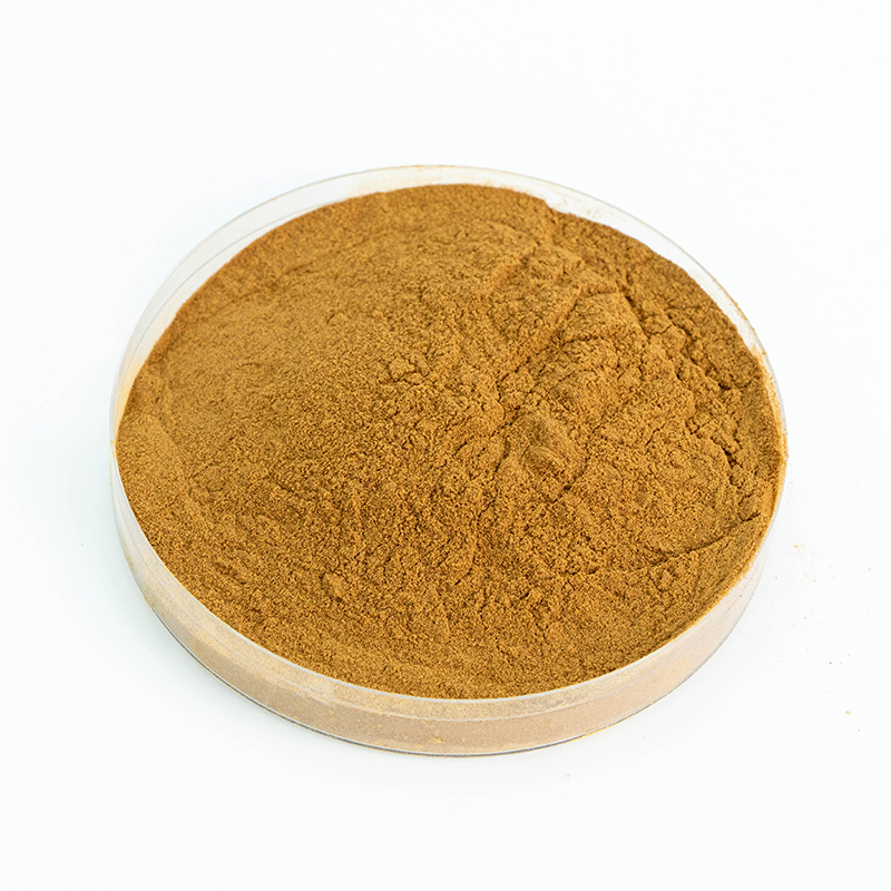 Runqian Organic Reishi Extract Polysaccharides Ganoderma Lucidum Brown Powder