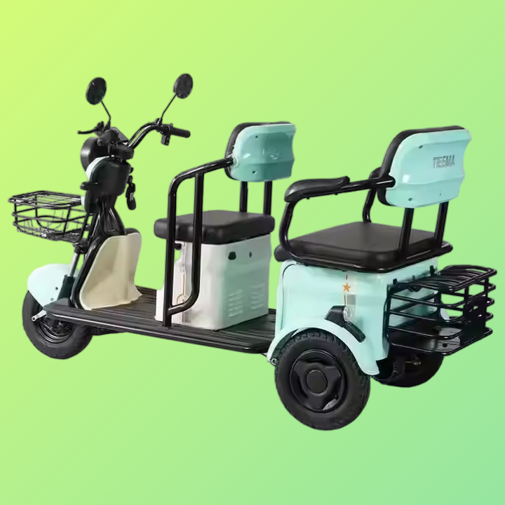 Electric Ticycle with Rear-Wheel Drive and 40-60km Performance Electric Bike Electronic Bicycle Electric Bicycle E-Bike