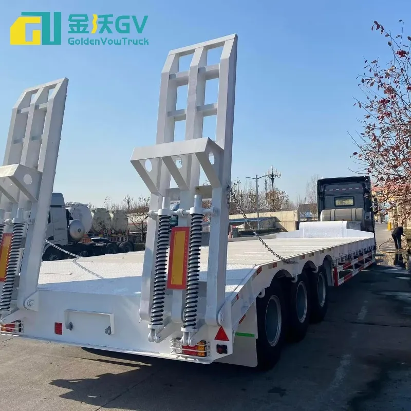 Low Bed Trailer Detail 3