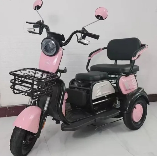 Wanhaonew Electric Tricycle Car - 3 Wheel Electric Motorcycle for Adults &amp; Passenger Commercial Use