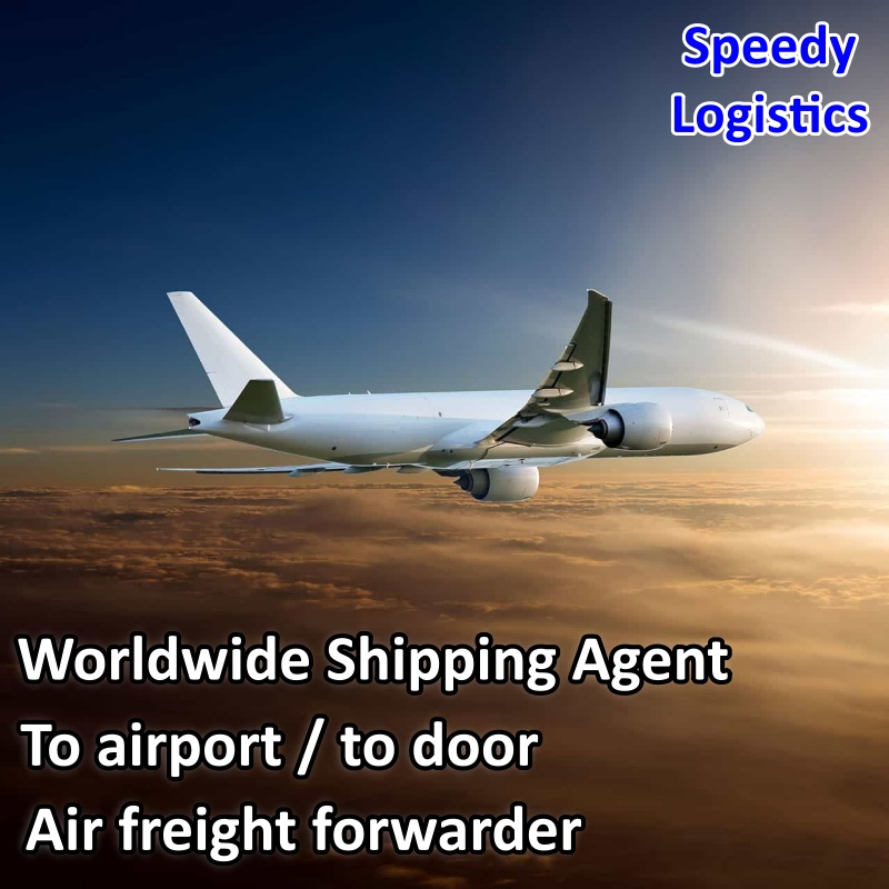 Sea Freight Forwarder Shipping Container to Nigeria, Dubai, Saudi Arabia, Bahrain, Turkey, Albania, Armenia, Azerbaijan, Belarus Logistics Service