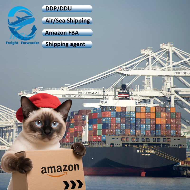 Best Price CIF/DDP/DDU Air/Sea Freight Forwarding From China to France United Kingdom Europe