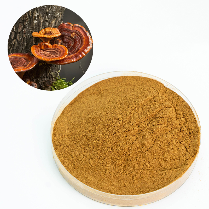 Runqian Organic Reishi Extract Polysaccharides Ganoderma Lucidum Brown Powder