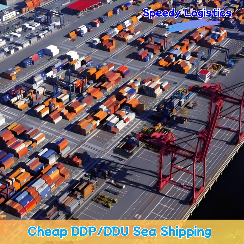 Sea Freight to Mundra, Karachi, Durban Full Container Sea Shipping Agent Transportation Delivery Service