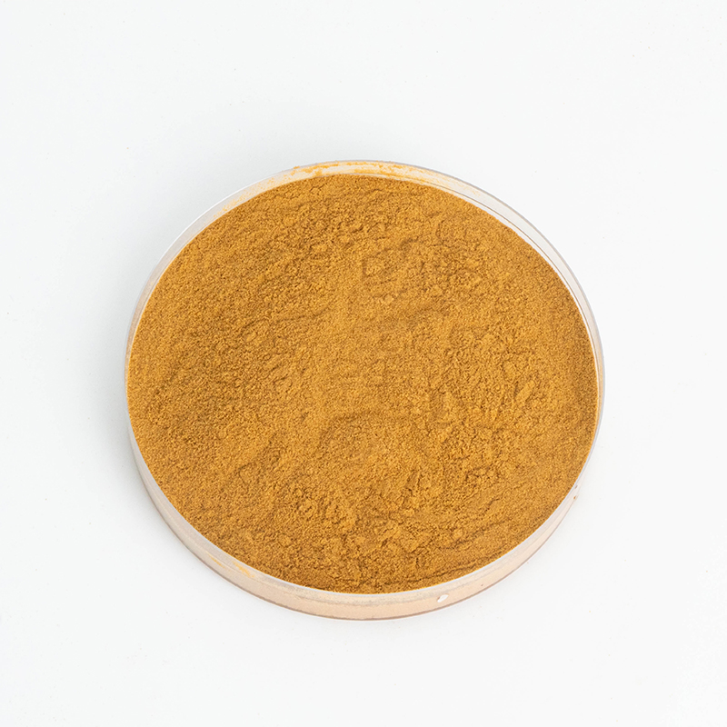 Runqian 10: 1 Jujube Seed Extract 10%-30% Polysaccharide Food Grade