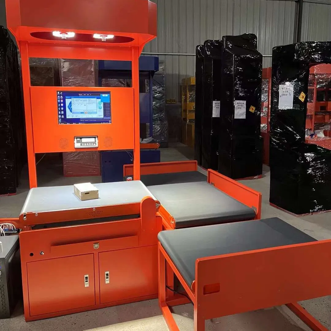 Truelisort Automated Parcel Data Capture Solution for Logistics Dws Scanning Weighing System