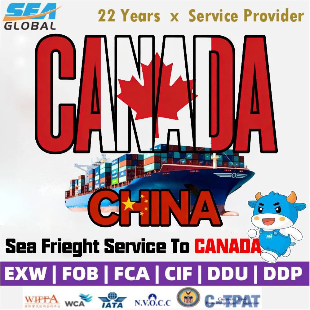 Freight Forwarder LCL Shipping China to USA Canada Mexico UK EU Australia EXW Fob DDU DDP Logistics Agent