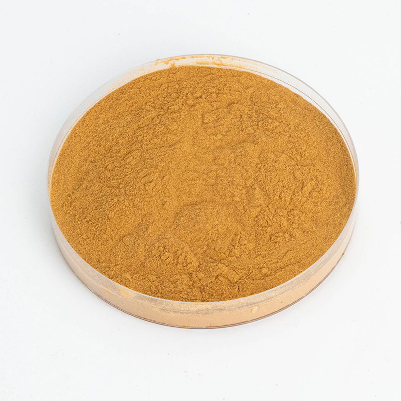 Runqian 10: 1 Jujube Seed Extract 10%-30% Polysaccharide Food Grade