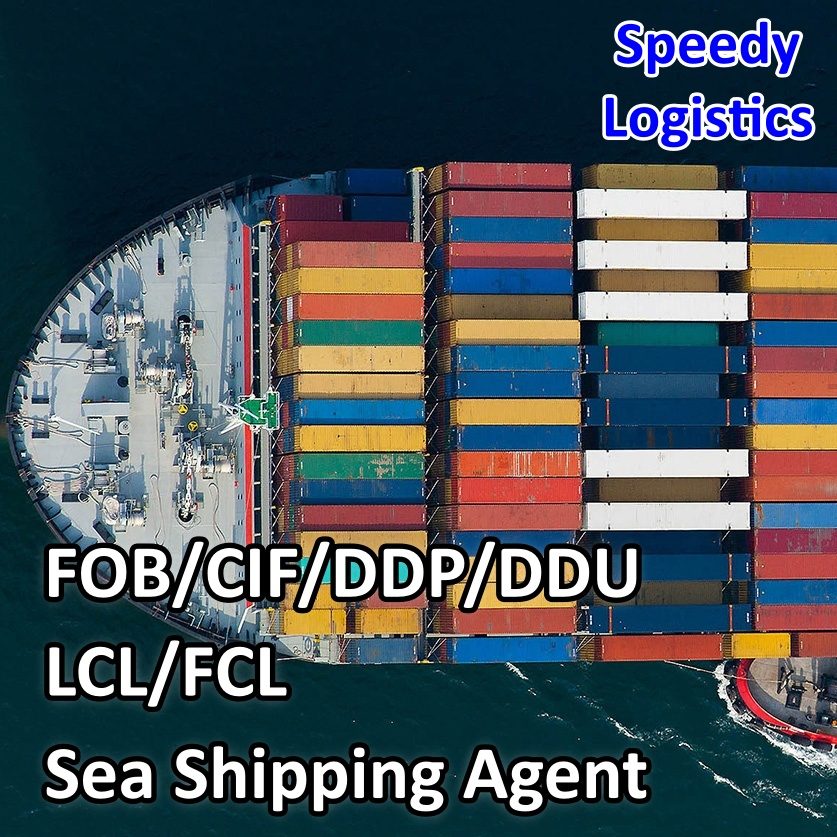 Railway Train Freight Forwarder Shipping Service to Kazakhstan, Kyrgyzstan, Tajikistan, Uzbekistan