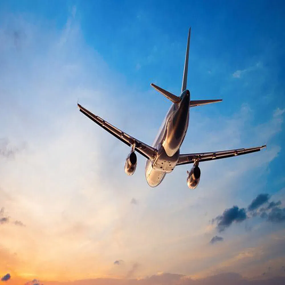 Support Sensitive and Dangerous Cargo Shipping Company From China to State of Israel, Palestine, Republic of Lebanon