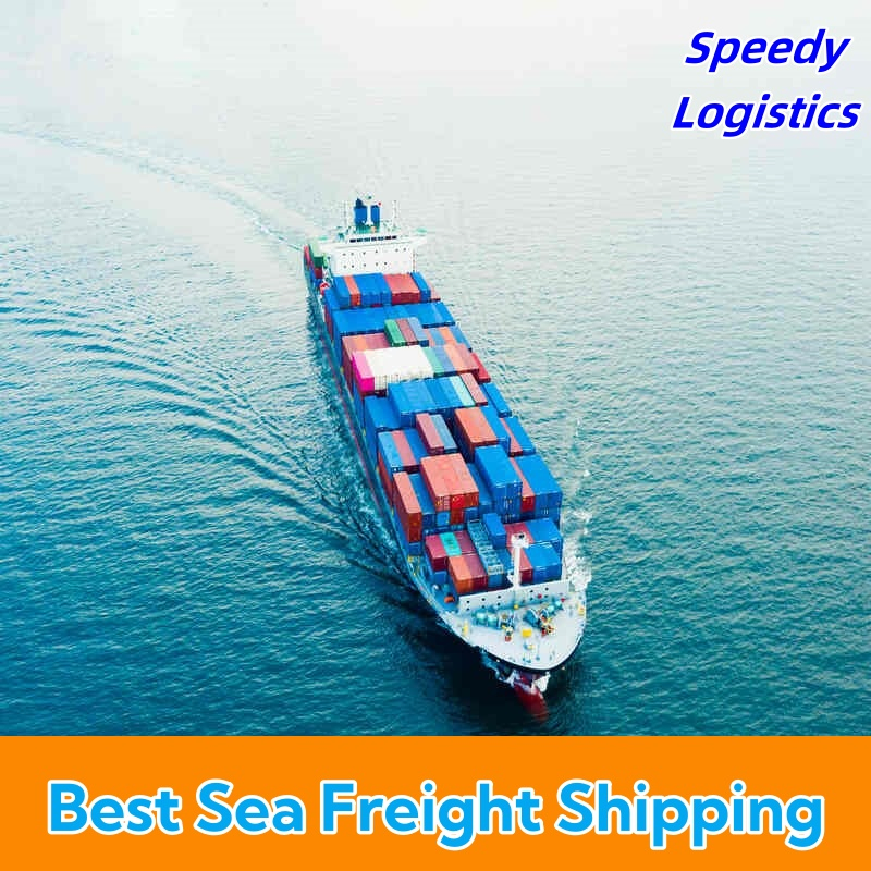 Door to Door Shipping From China to Germany, USA by Sea DDP Service