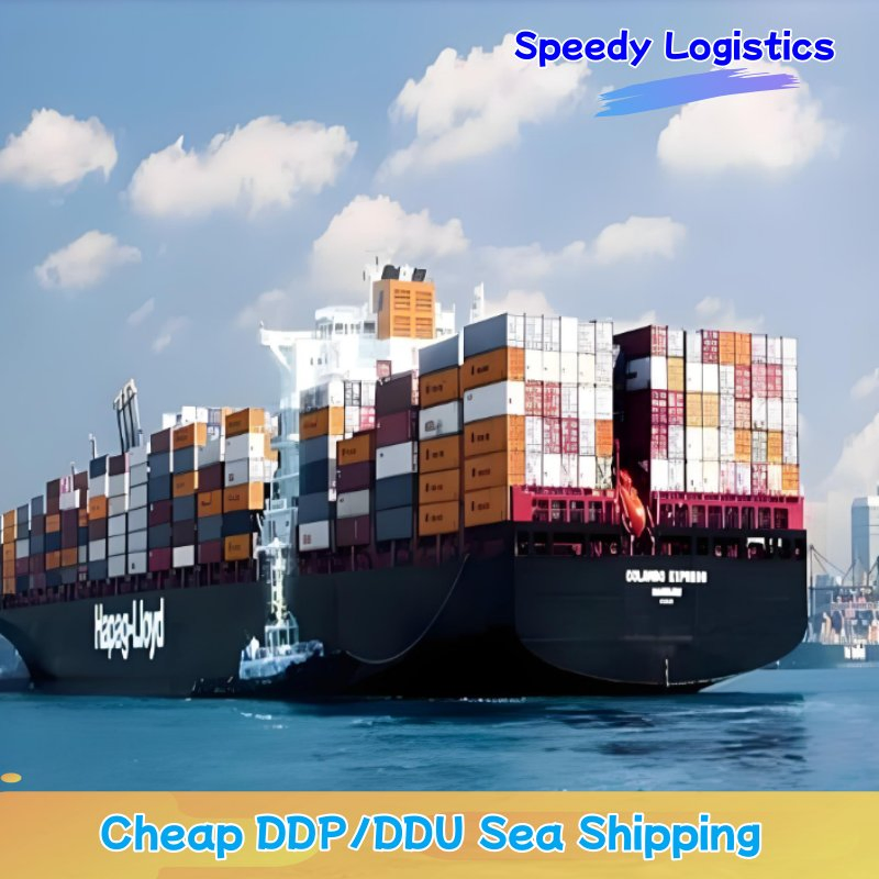 Sea Freight to Mundra, Karachi, Durban Full Container Sea Shipping Agent Transportation Delivery Service