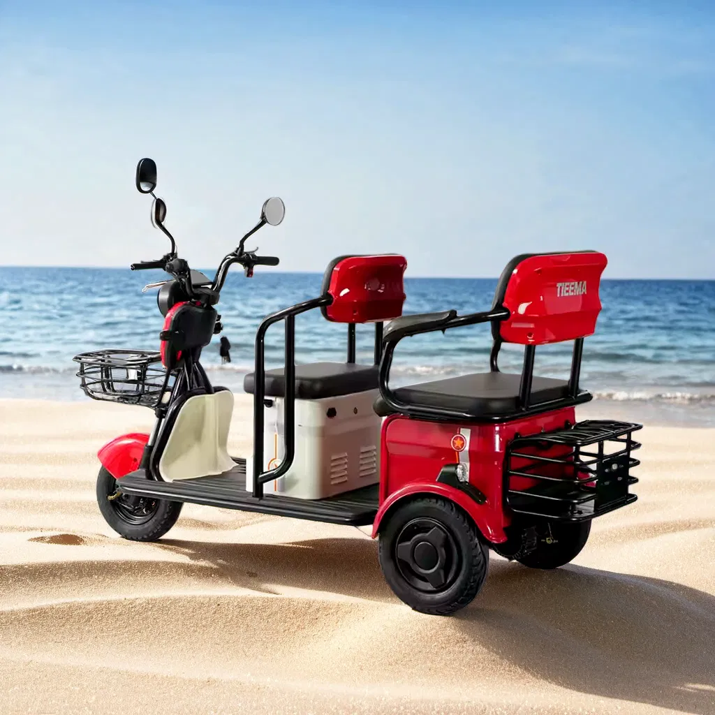 Electric Ticycle with Rear-Wheel Drive and 40-60km Performance Electric Bike Electronic Bicycle Electric Bicycle E-Bike